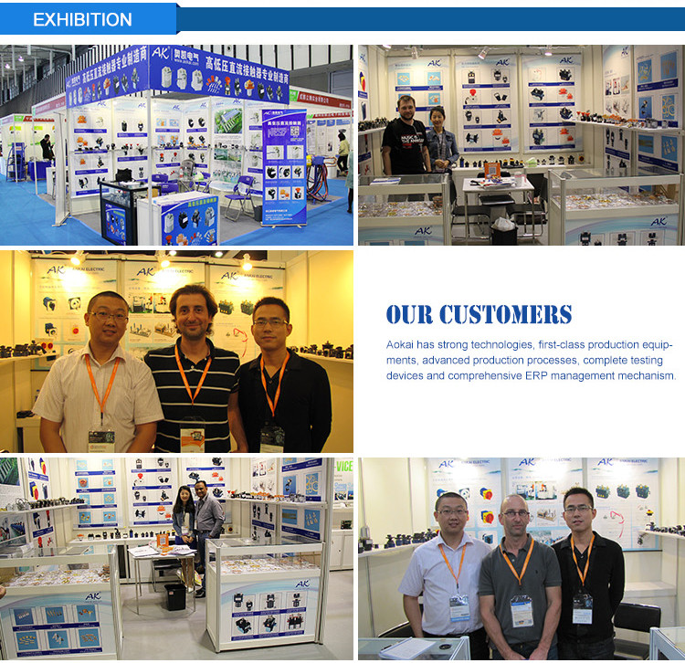  24V Car Contactor.jpg